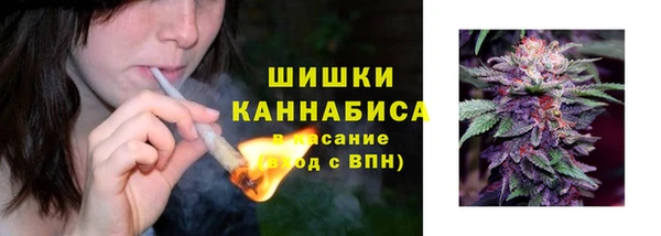 шишки Дмитриев
