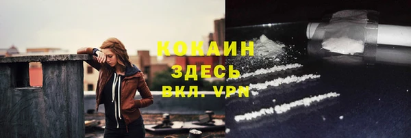 стаф Елизово