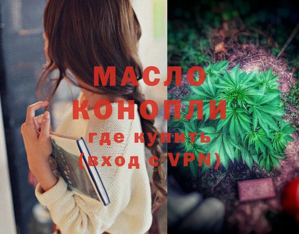 стаф Елизово