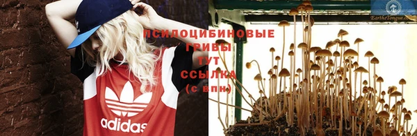 дживик Елабуга