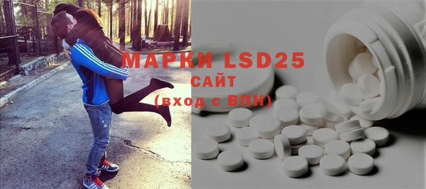 стаф Елизово