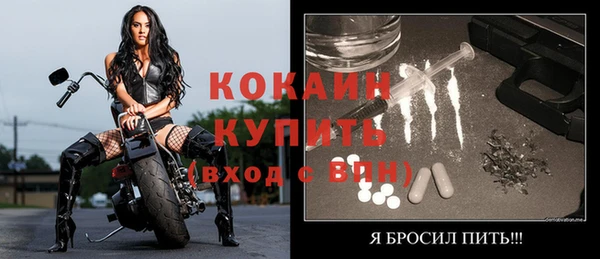 дживик Елабуга